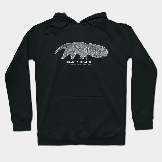 Giant Anteater with Common and Latin Names - animal ink art Hoodie by Green Paladin